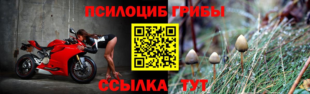 Галлюциногенные грибы мухоморы  Вход с VPN  Лысьва  закладки  Псилоцибиновые грибы мухоморы 